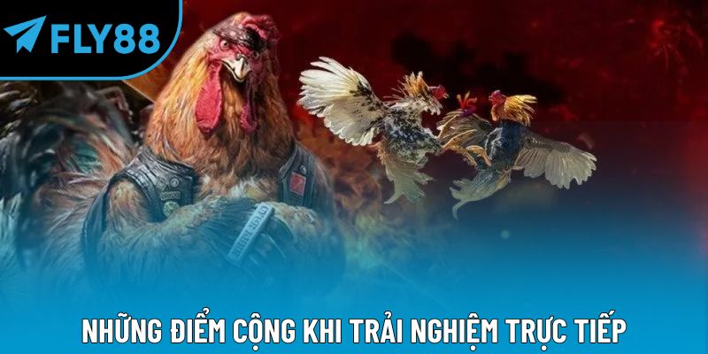 Những điểm cộng khi trải nghiệm trực tiếp